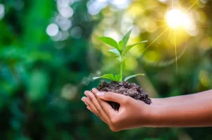Ecologisch tuinieren